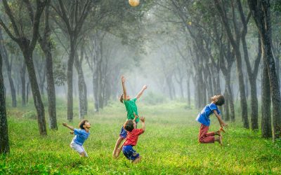 robert-collins-333411-unsplash robert-collins-333411-unsplash